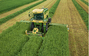 mowing