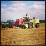 Krone