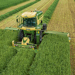Krone