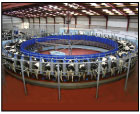 Dairymaster