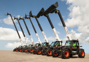 Medium-Bobcat-TLS-Family-IMG_3125_160401_18x13