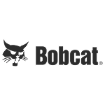 Bobcat Thumbnail